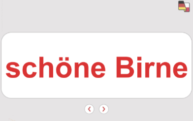 napis schone Birne na ekranie laptopa